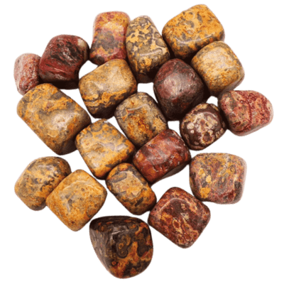 Leopard Skin Jasper Tumble Stones (20-25mm)
