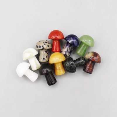 Toadstool Variety Pack
