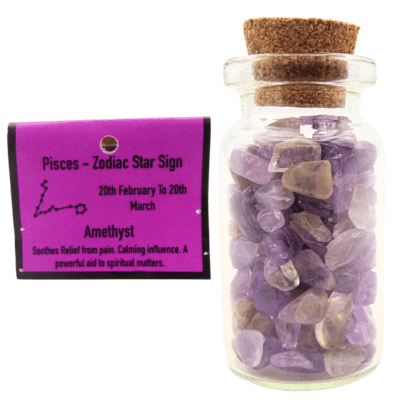 Zodiac Chip Bottle Pack - Pisces / Amethyst