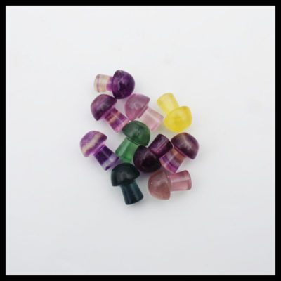 Fluorite Mushroom Pack