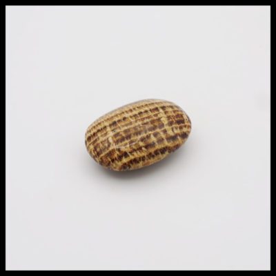 Brown Aragonite Palmstone (Approx. Dimensions: 52mm x 40mm)