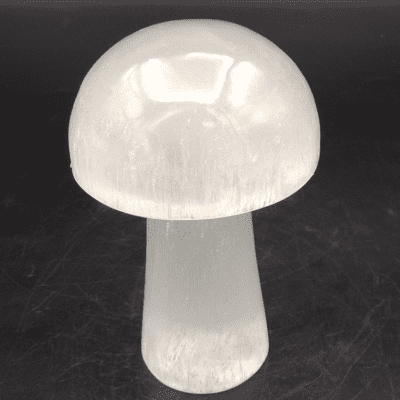 Selenite Toadstool Carving (100mm) - Image 2