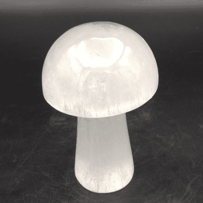 Selenite Toadstool Carving (100mm) - Image 3