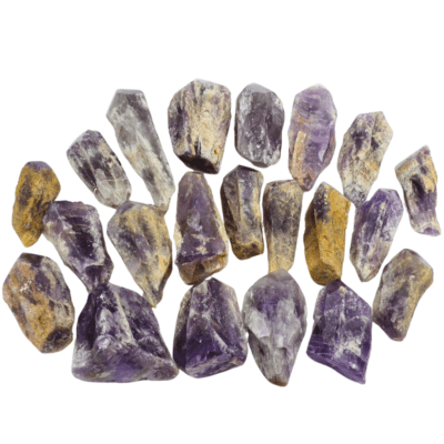 Bahia Natural Points Tray Deal (4.57KG) 50% OFF! - Image 4