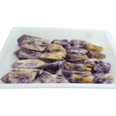 Bahia Natural Points Tray Deal (4.57KG) 50% OFF! - Image 3