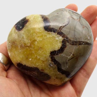 Septarian Heart (80mm x 70mm) - Image 5