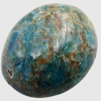Wholesale Apatite Palmstone