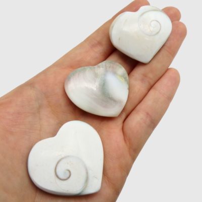 Shiva Shell Heart - Image 4