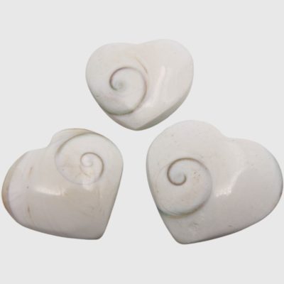Wholesale Shiva Shell Heart