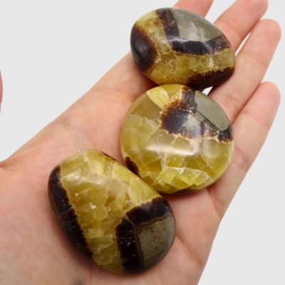 Septarian Palmstones x 3 (156g) - Image 3