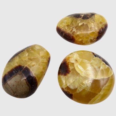 Septarian Palmstones x 3 (156g) - Image 2