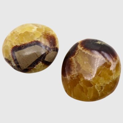 Wholesale Septarian Palmstones