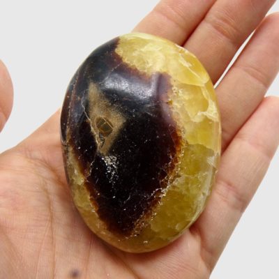 Septarian Palmstone (70mm x 55mm) - Image 3