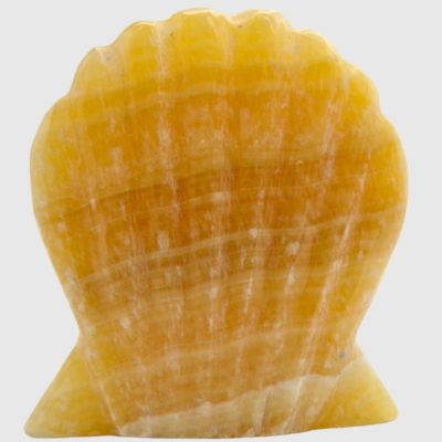 Wholesale Orange Calcite Shell