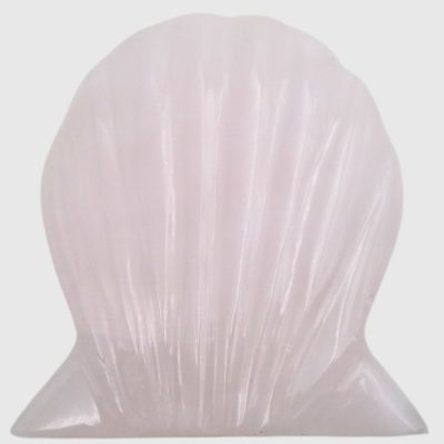 Wholesale Mangano Calcite Shell