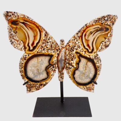Wholesale Natural Agate Slice Butterfly