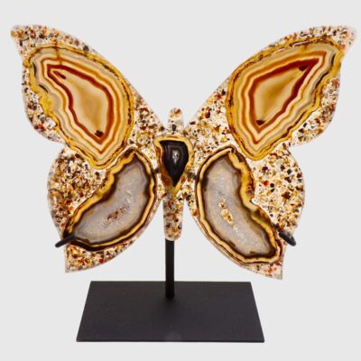 Wholesale Natural Agate Slice Butterfly
