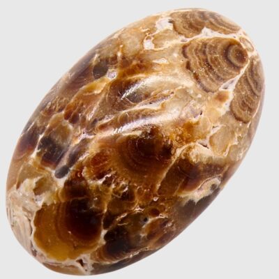 Wholesale Chocolate Calcite Palmstone