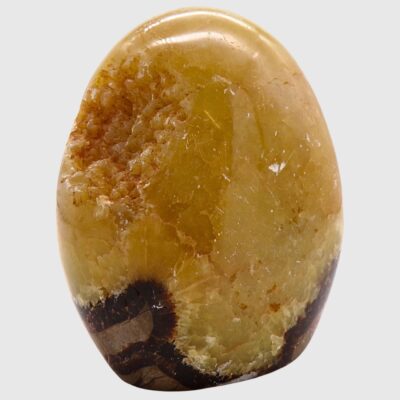 Wholesale Septarian Freeform