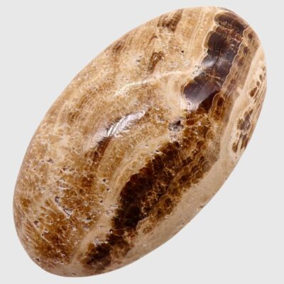 Wholesale Chocolate Calcite Palmstone