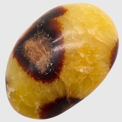 Wholesale Septarian Palmstone