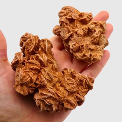 Desert Rose Clusters x 2 (296g) - Image 3