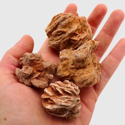 Desert Rose Clusters x 4 (250g) - Image 2